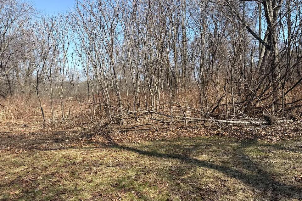 Controversial 288-unit Worcester housing project in limbo after zoning ...