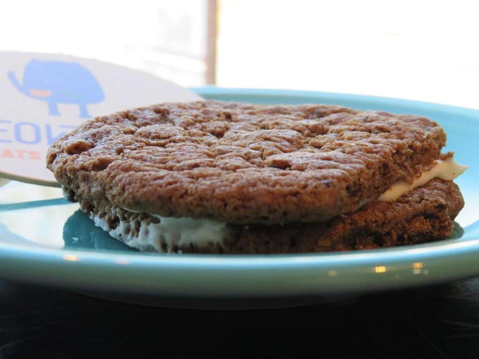 MeowTown cat café in Alton wants to find Metro East felines their