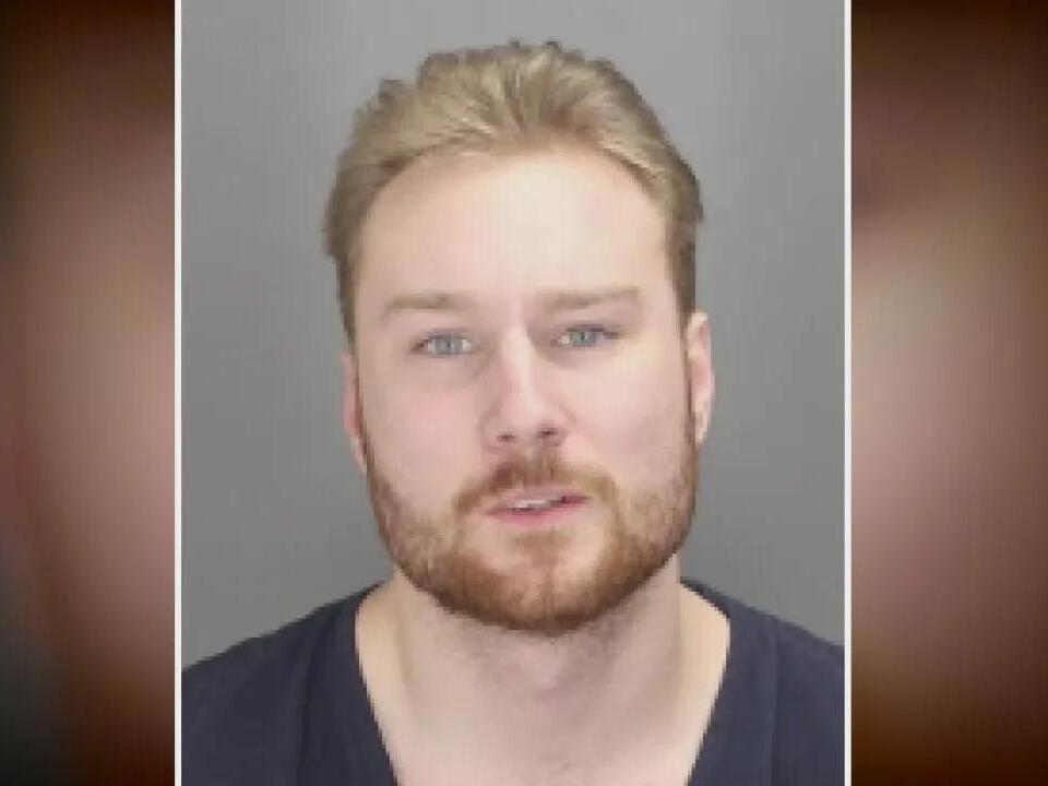 Oakland County man sentenced to 2-15 years after being caught with