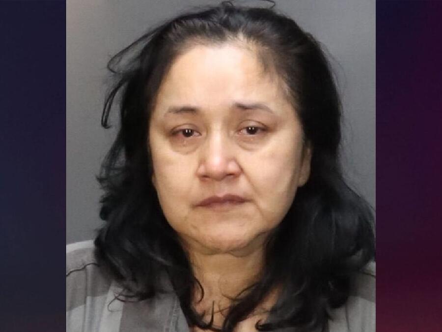 Texas woman allegedly dragged child by the head and hair into toilet