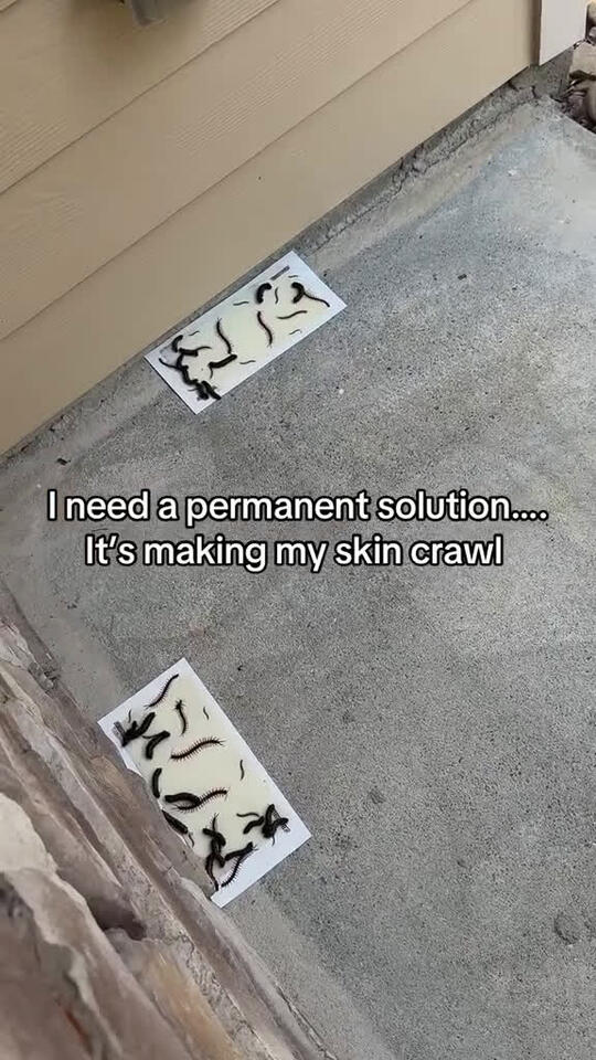 Im moving out!!! - NewsBreak