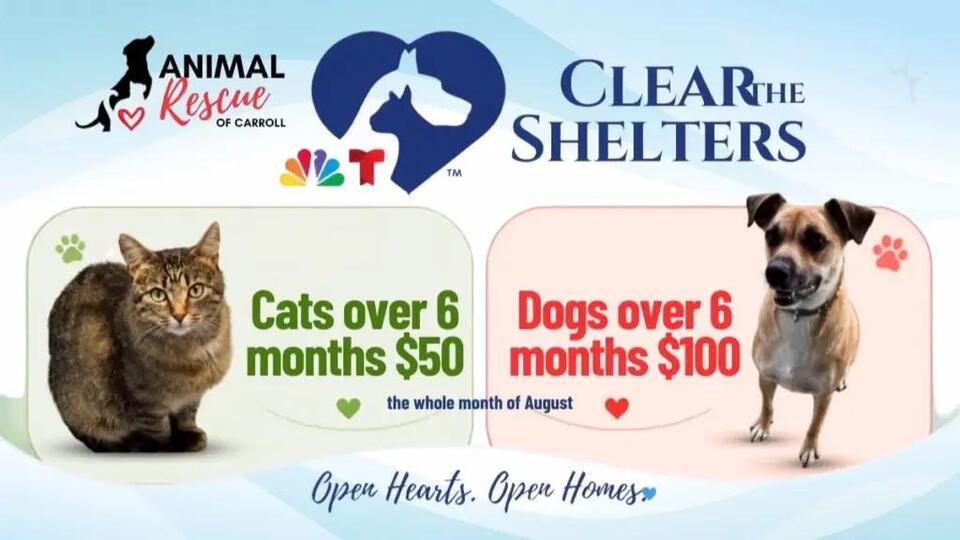 Animal Rescue Of Carroll Joins August’s Clear The Shelters Campaign