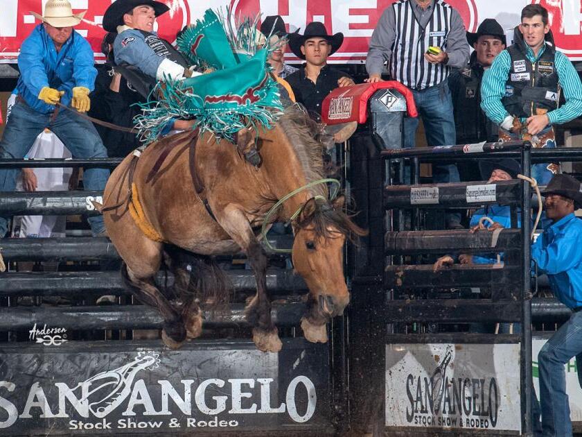 Rodeo Results Jess Pope Shines Brightly in Angelo