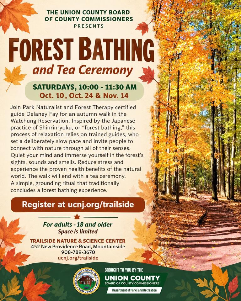 📅 Fall nature, art, and wellness programs at Trailside - NewsBreak