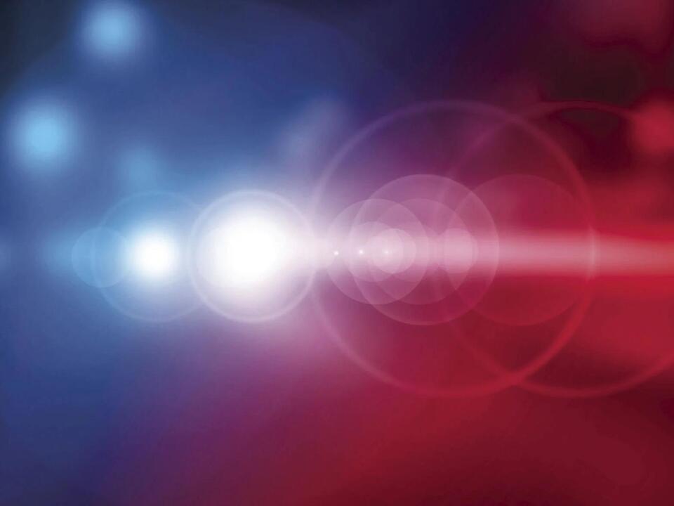 Routine license plate check reveals stolen car