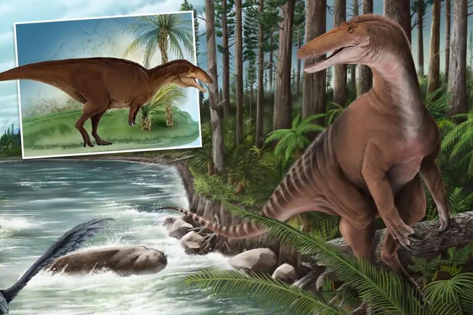 Major discovery sheds new light on giant 20ft ‘mega raptor’ that ...