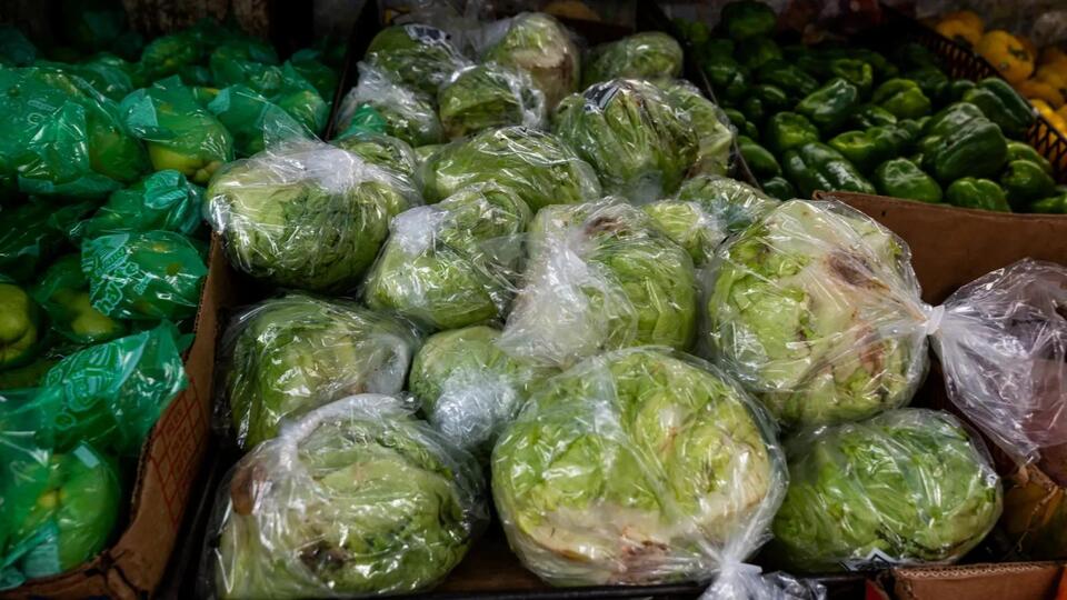 Feces in the food supply: What’s next after summer of Cyclospora