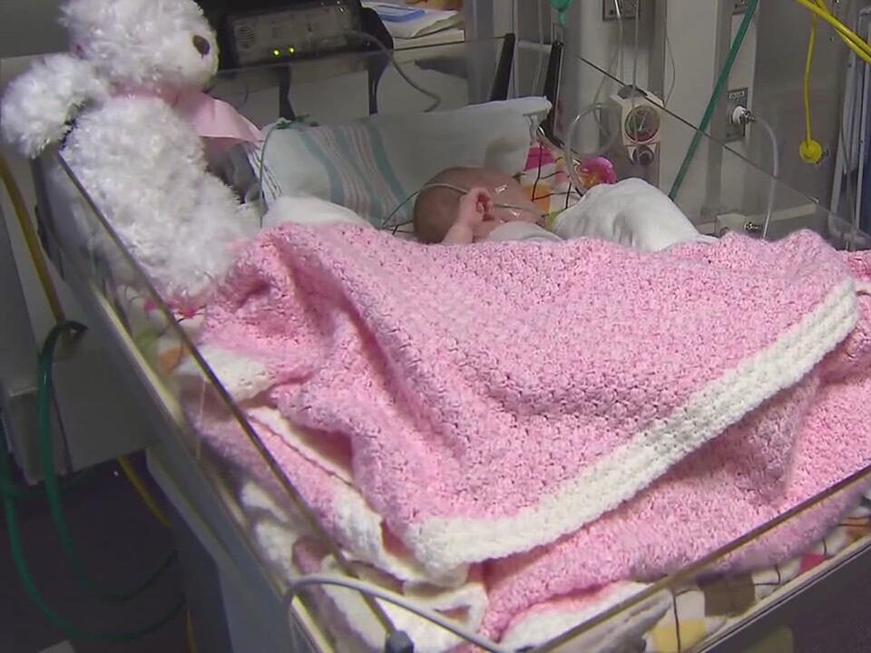 CDC whooping couch at decadehigh level