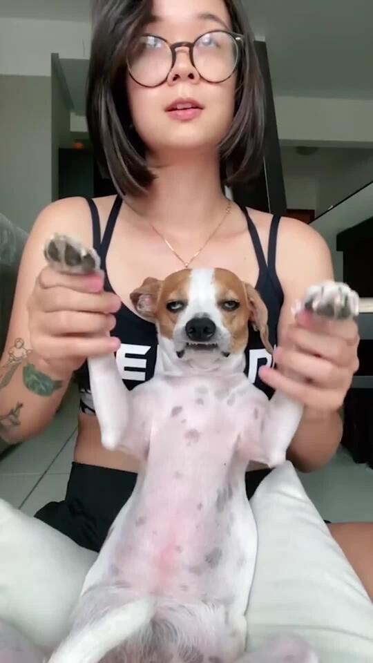 Grumpy Dog Makes Hilarious Facemp4 - NewsBreak