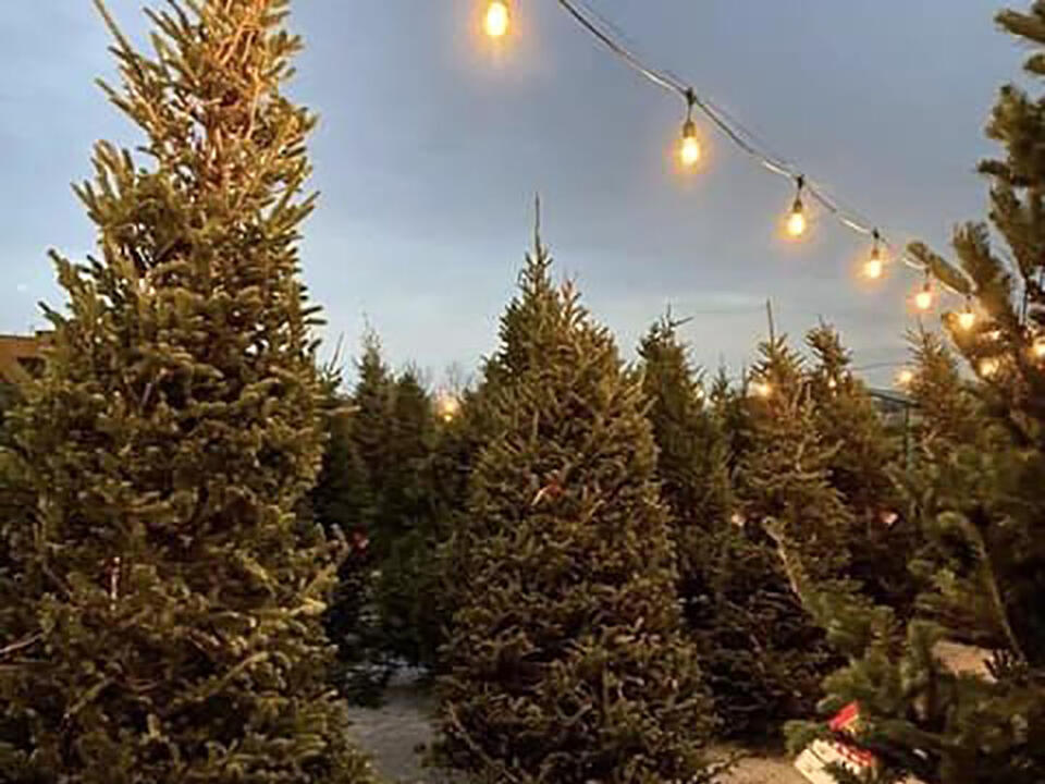 Local retailer sells Christmas trees and other holiday amenities