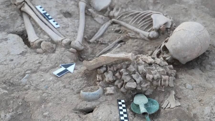 🔥 Archaeologists In Kazakhstan Unearth Bronze Age Burial Of Girl Laid To Rest With More Than 180 Animal Bones