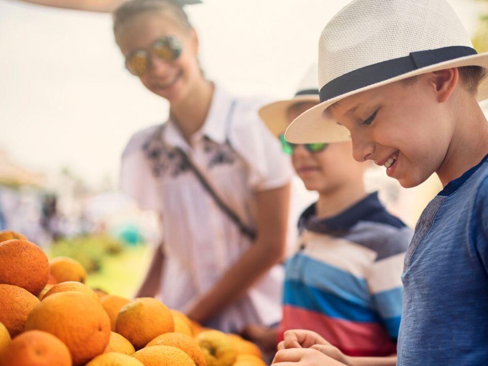 The Ultimate Guide to Cape Cod’s Best Farmers Markets of 2023 Dianna