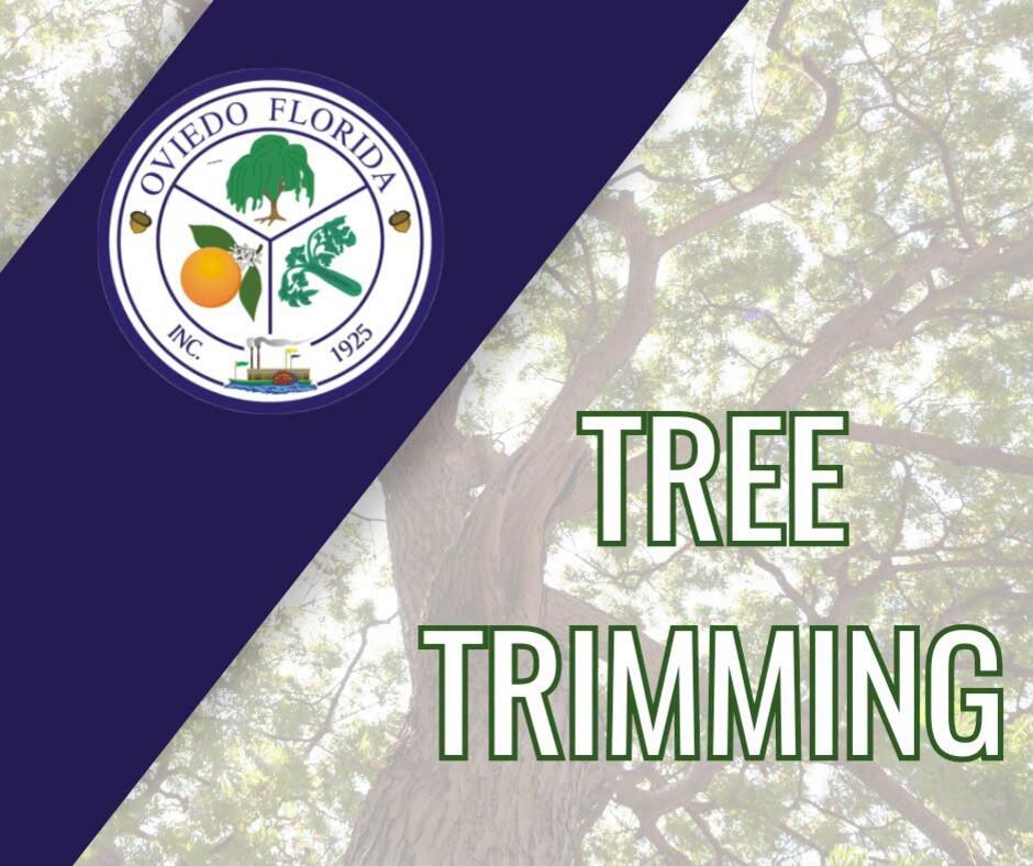Tree trimming to slow traffic in Oviedo Sept. 24 - NewsBreak