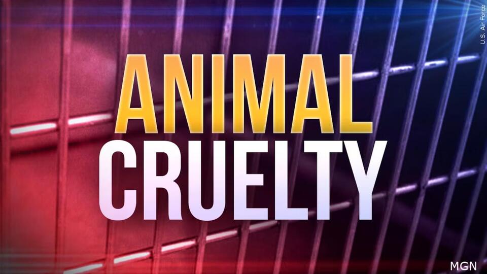 Ashland woman facing animal cruelty charges in relation to three ...