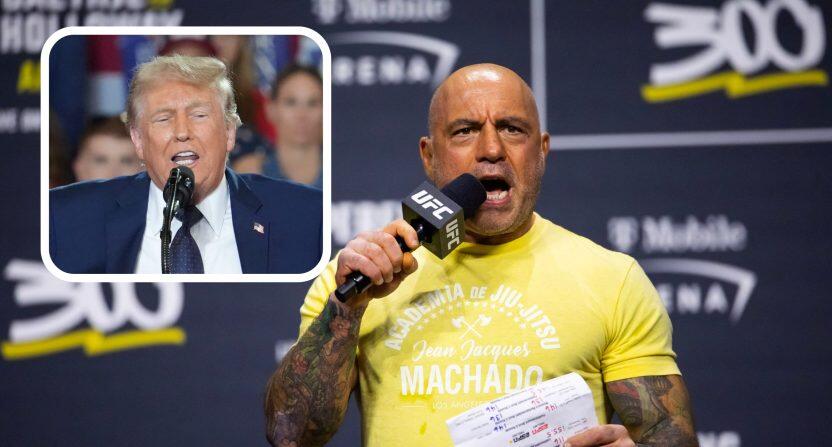 Joe Rogan turns his back on Donald Trump - NewsBreak