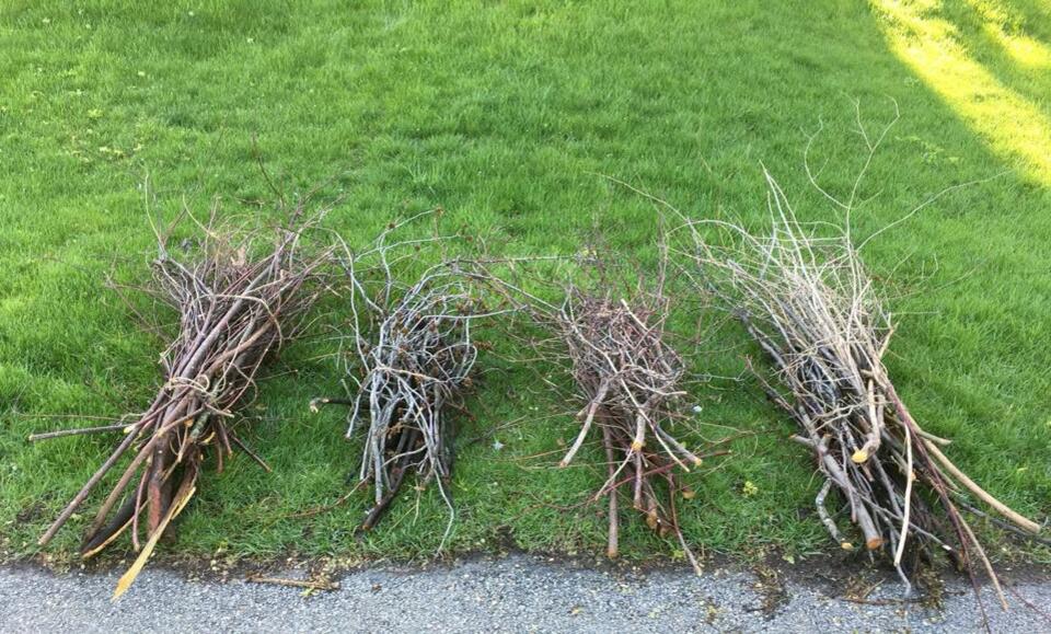 Yorkville brush pickup on October 26 - NewsBreak