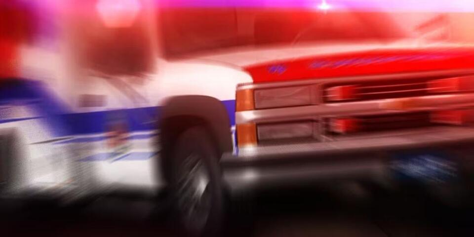 Elderly woman fighting for her life after being mauled by dogs in ...
