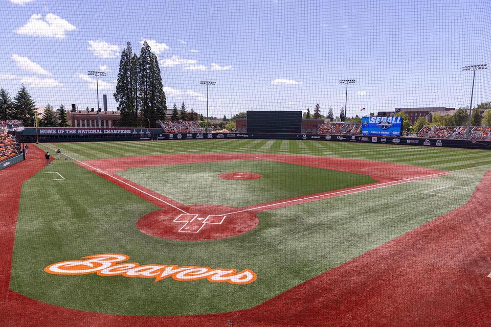 Oregon State secures endowment for baseball operations director role ...