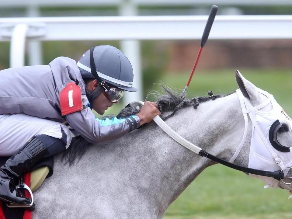 2024 Travers Stakes predictions, horses, odds, time Midsummer Derby