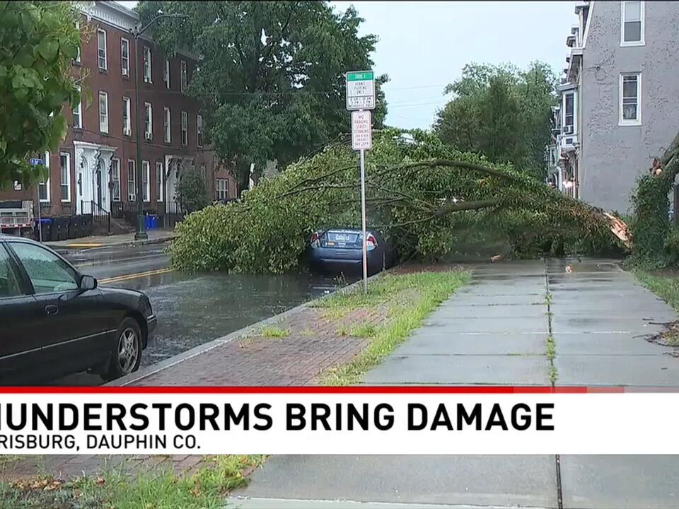 Severe thunderstorms cause damage, leave tree on top of car in Dauphin ...