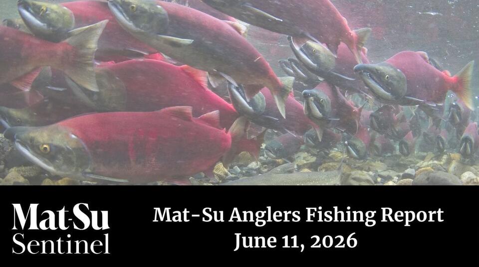 Chasing King Salmon on Knik River at the Eklutna Tailrace