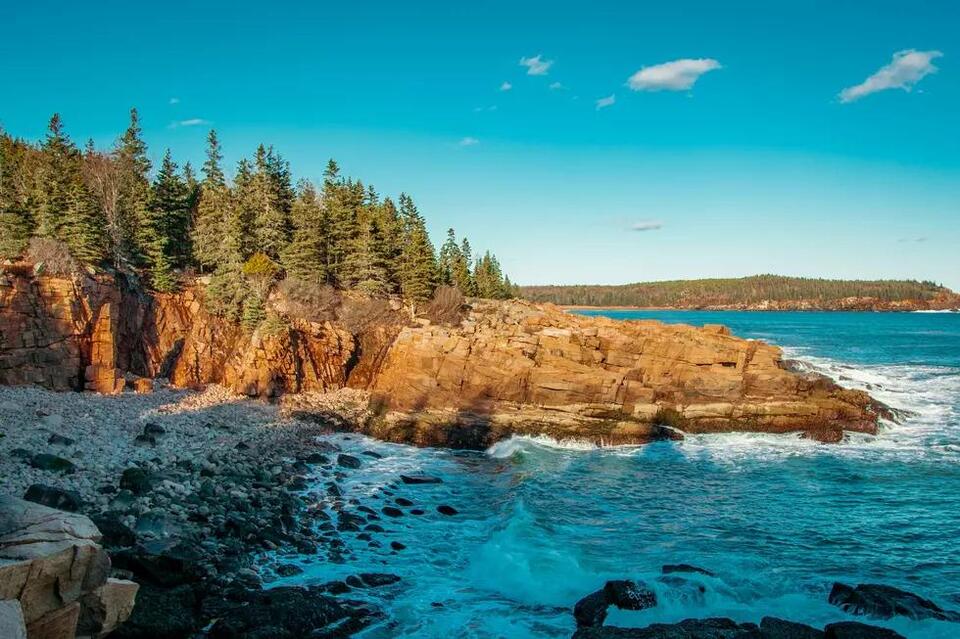 Spring Road Trip Goal: Coastal Maine Botanical Gardens Opens Soon ...