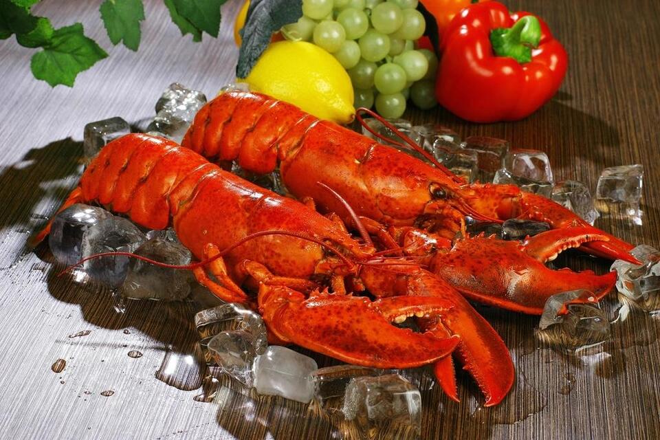 Lobsters Don't Scream When They're Boiled - NewsBreak