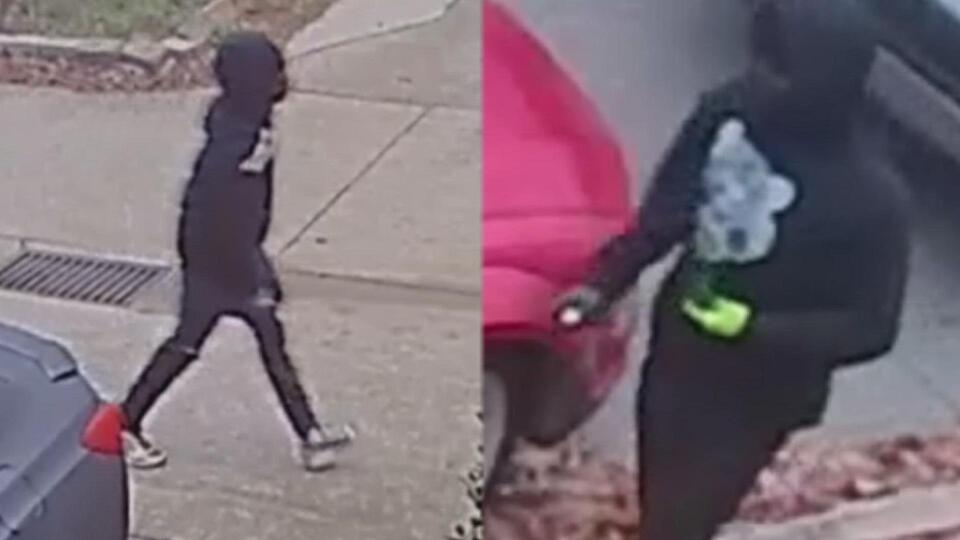 Police searching for men who broke into 139 cars in just an hour in ...