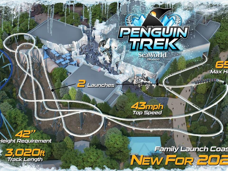 SeaWorld Orlando Announces Penguin Trek Opening Date