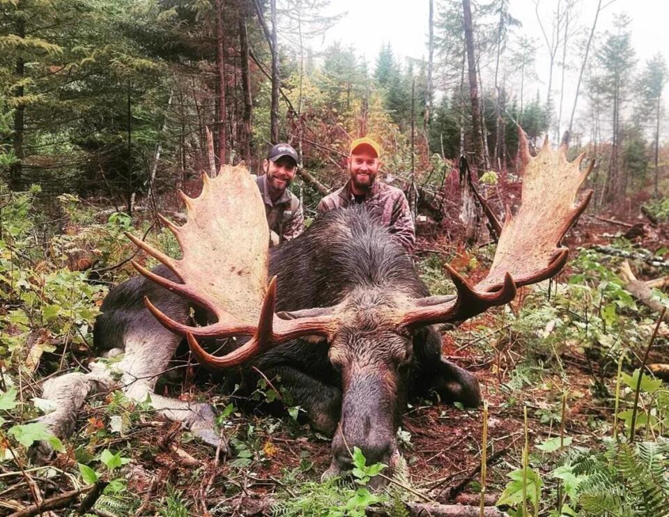 Grandfather’s gun made this trophy moose hunt special - NewsBreak