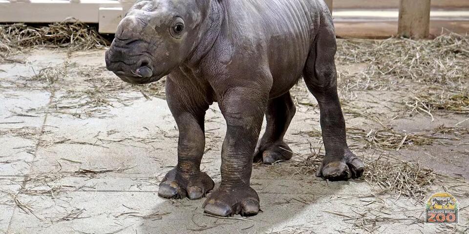 Rolling Hills Zoo remains closed as power restoration continues