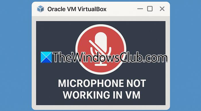 Microphone not working in Oracle VirtualBox VM - NewsBreak