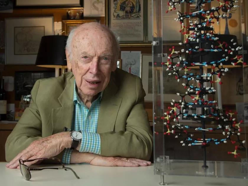 James Watson, who co-discovered the structure of DNA, has died at age ...