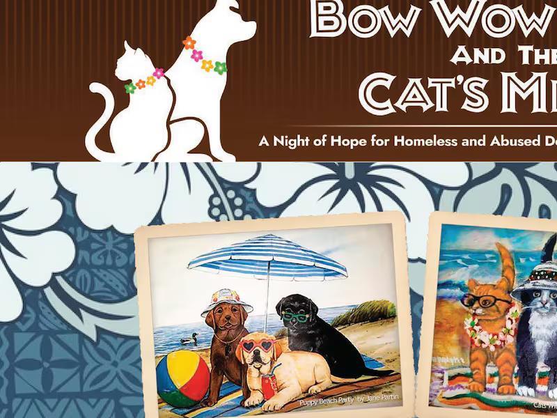 Bow Wow Luau and The Cat’s Meow to benefit local animals