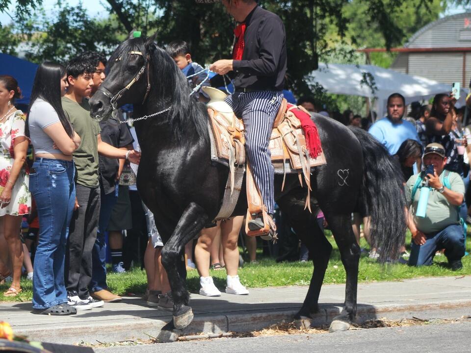 Bridgeport Daze looks for bigger and better turnouts