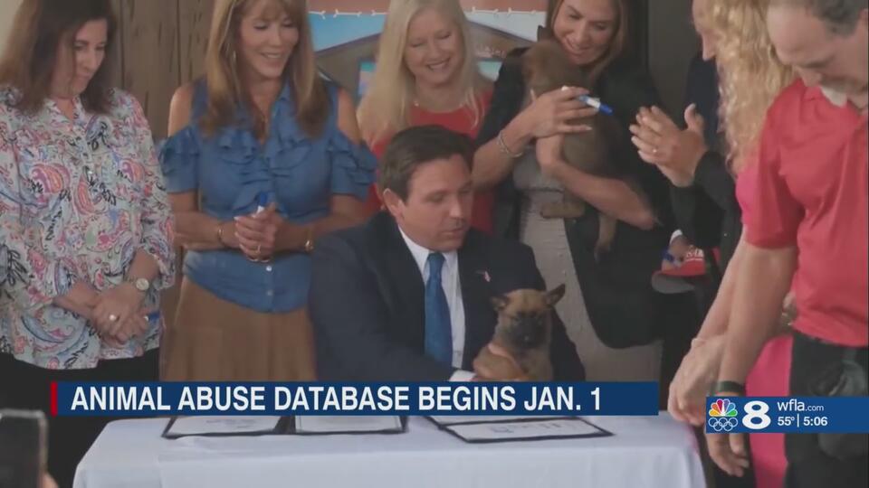 Florida man who decapitated his dog back in jail - NewsBreak