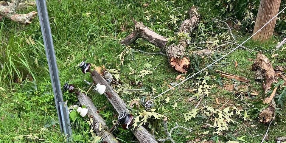 Power outage impacts hundreds in Middle Tennessee after large tree ...