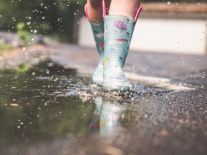 Monticello Daily Weather Forecast