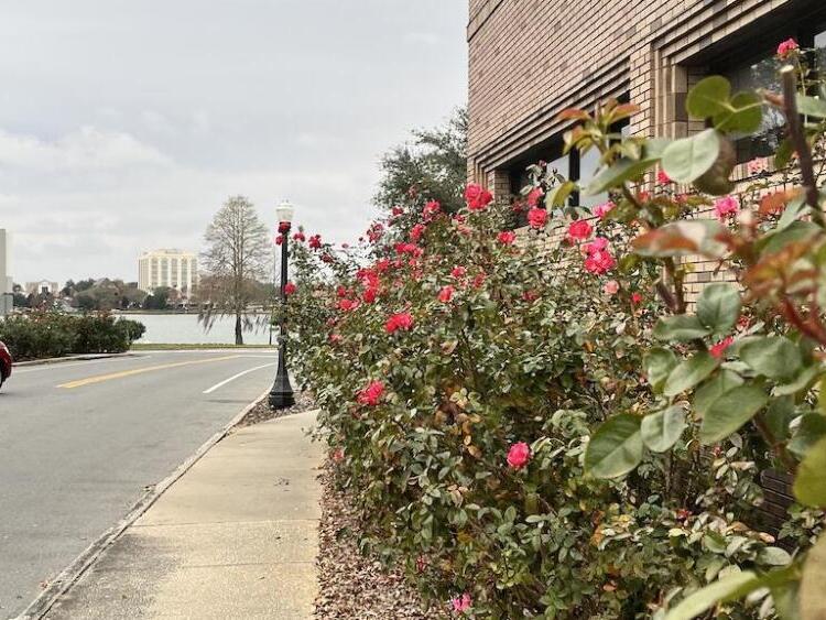 Spring 2024 weather forecast for Lakeland