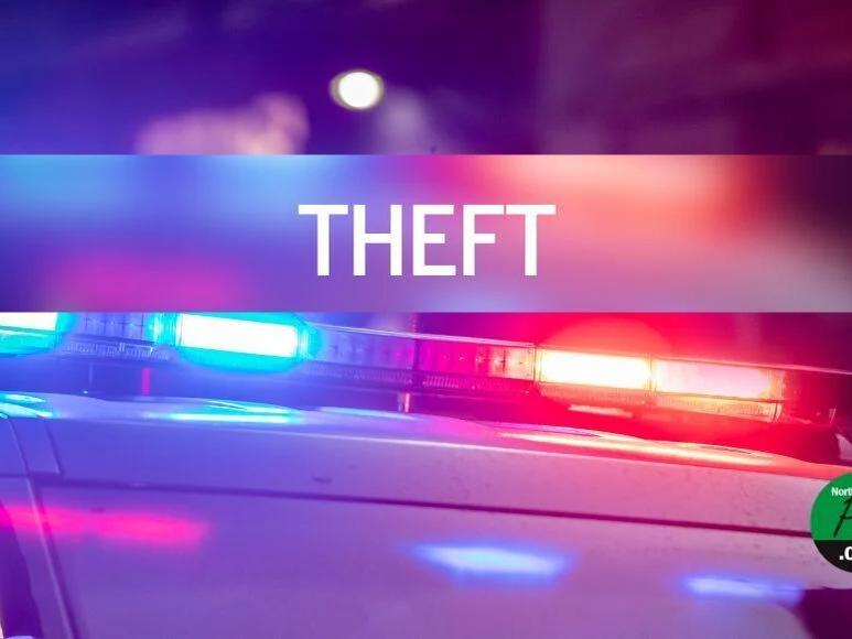 Thief sells victim's cell phone for cash