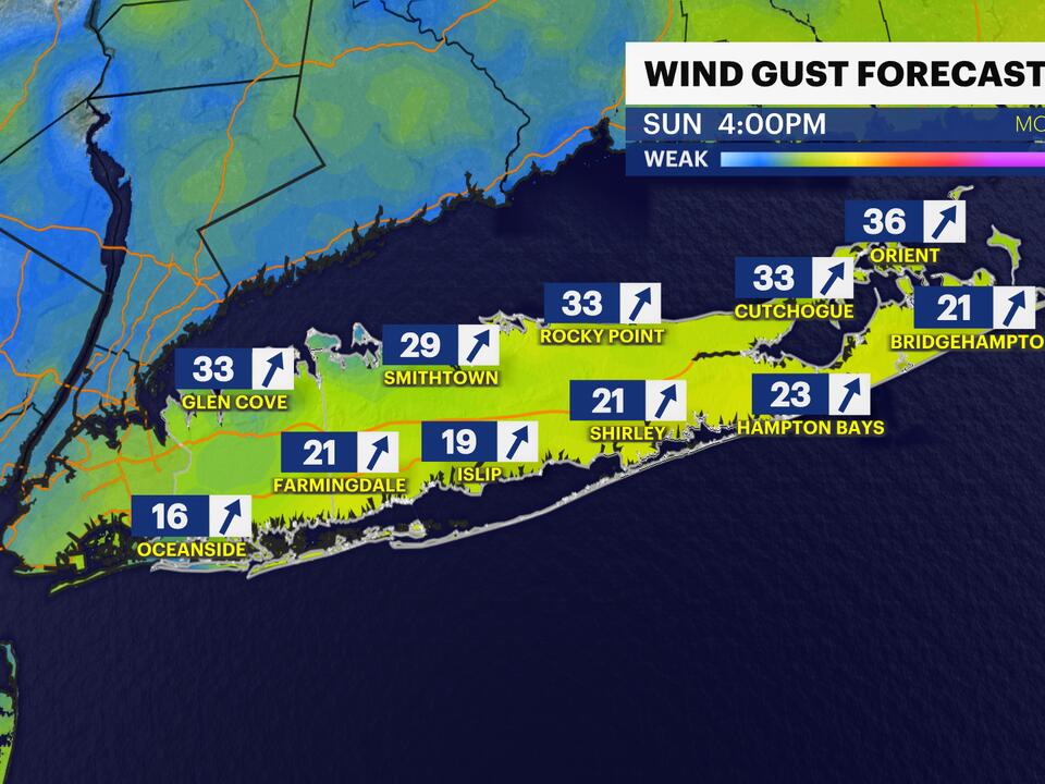 STORM WATCH: Heavy rain, gusty winds moving in for part of weekend