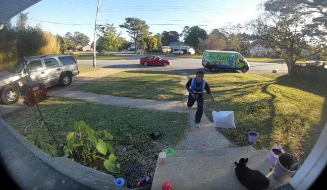 Delivery worker seen striking cat with package in Ring camera footage ...