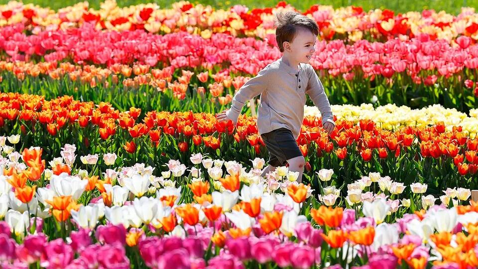 Spring is near. When will it warm up for good in Louisiana? See ...