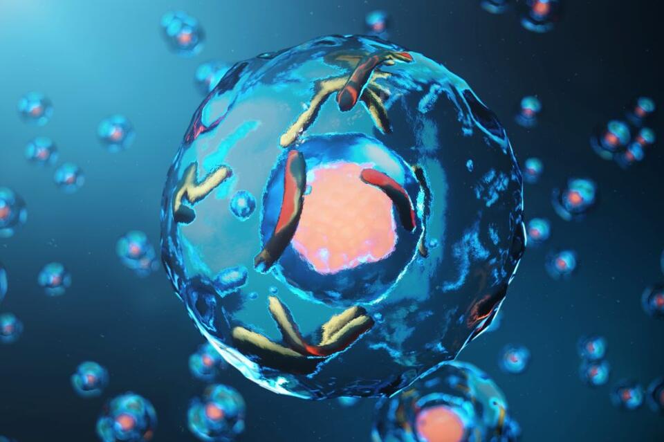 Scientists discover a hidden system that controls sugar in the human ...