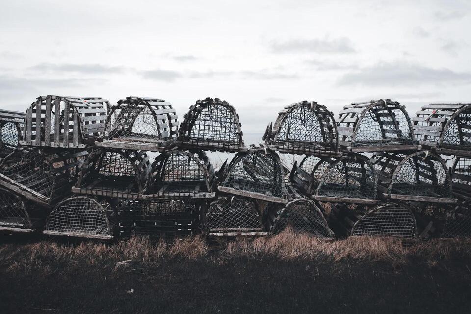 Trapping Laws in Massachusetts: Licenses, Legal Traps, Seasons, and ...