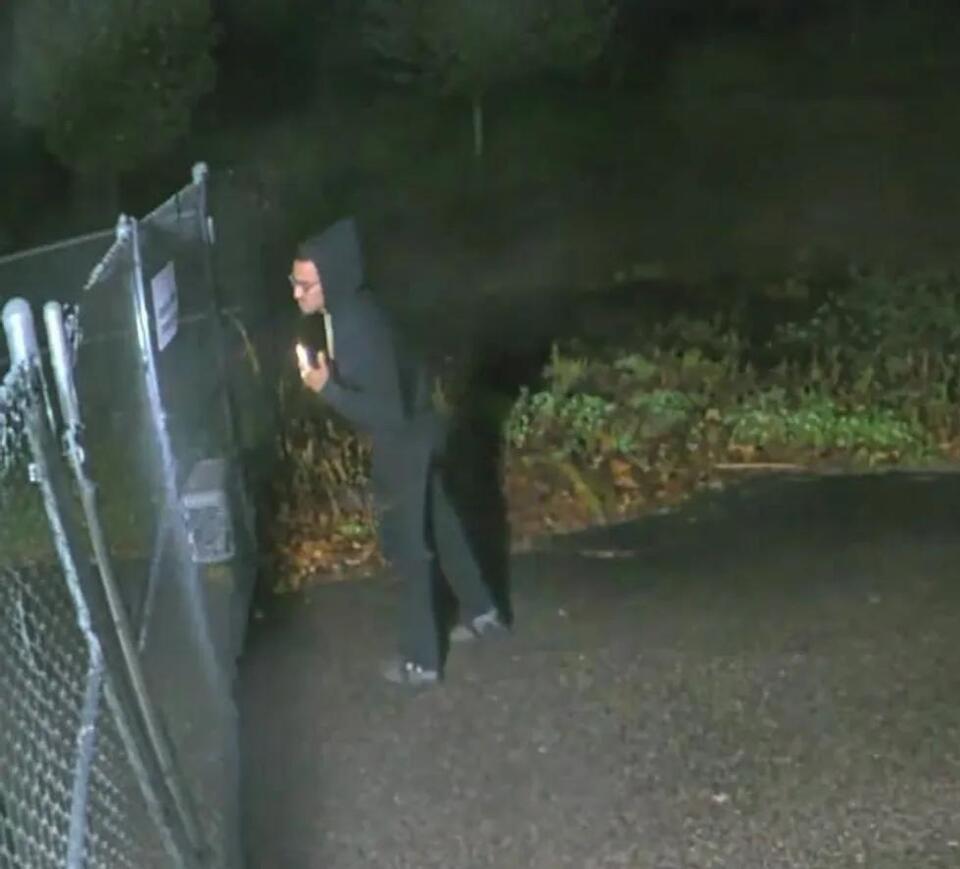 NLPD: man tossed dog over 6-foot high fence - NewsBreak