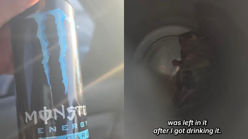 Horrified Virginia Navy Sailor Drinks Most of Monster Energy Before ...