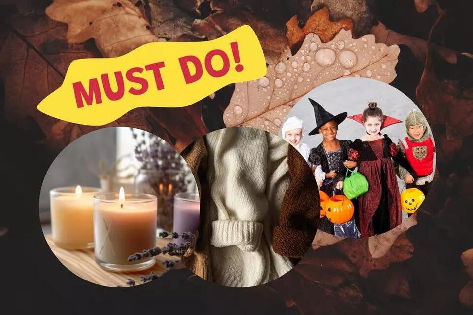 Common Fall Insects Invading North Dakota Homes - NewsBreak