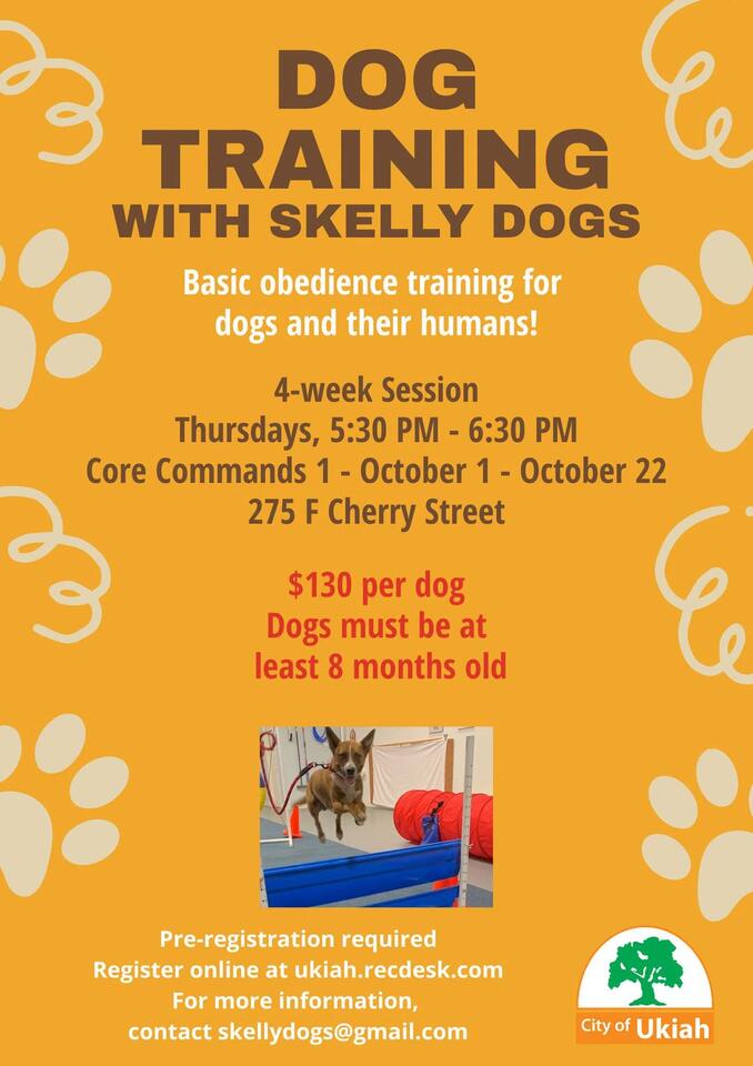 City offers new dog training class registration - NewsBreak