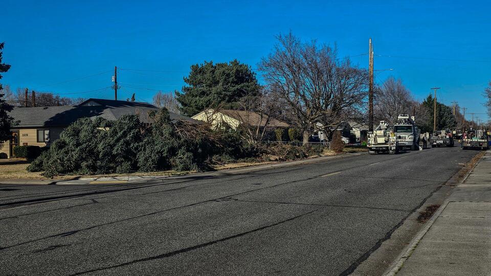 Power nearly restored in Richland after wind causes outages - NewsBreak